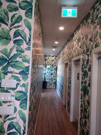 Hallway papered